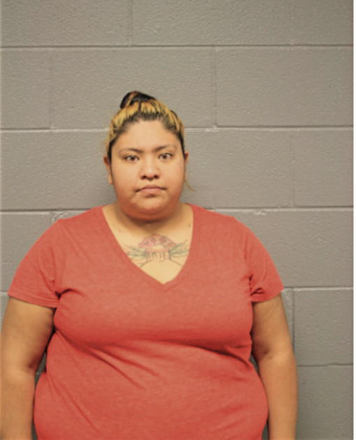 NOEMI E CERVANTES, Cook County, Illinois