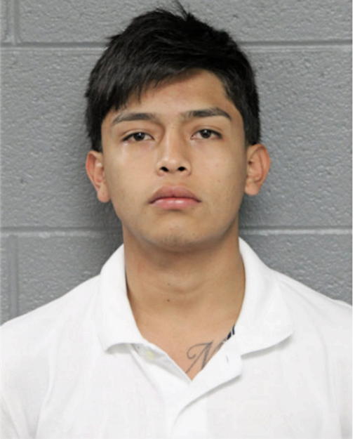 VICTOR CERVANTES, Cook County, Illinois