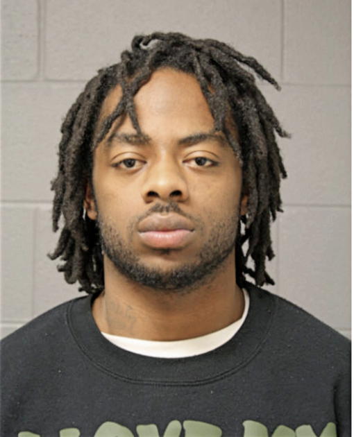 RYAN C COLLINS, Cook County, Illinois
