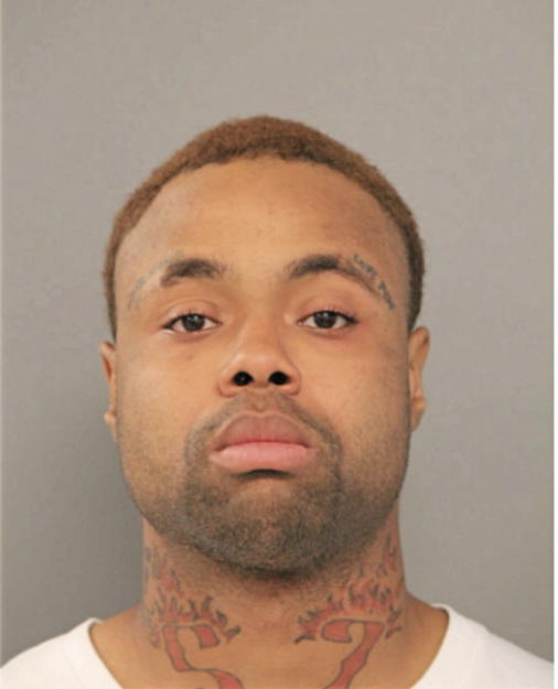ROBERT A DELANEY, Cook County, Illinois