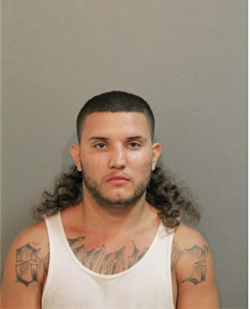 DANIEL J FLORES, Cook County, Illinois