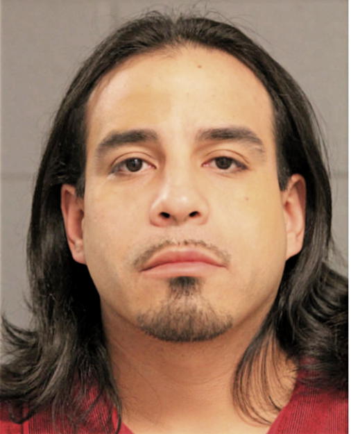 ERNESTO FLORES, Cook County, Illinois