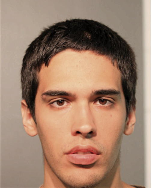 JOSIAH R GARLAND, Cook County, Illinois