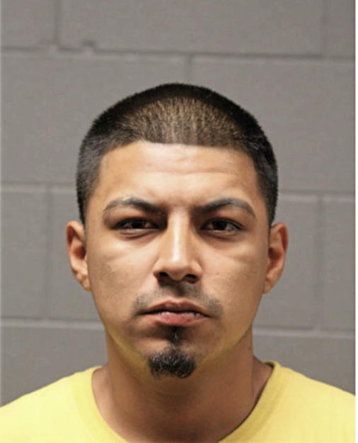 JOSHUA N GONZALEZ, Cook County, Illinois