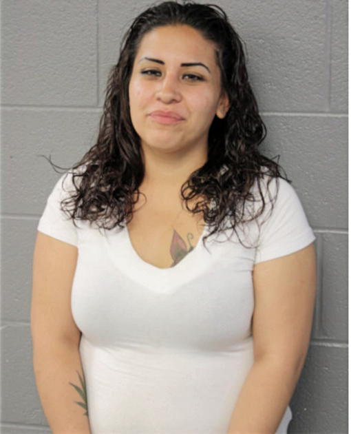 ROSARIO GONZALEZ, Cook County, Illinois