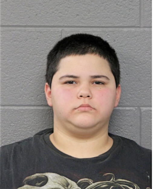 TONI R GREEN, Cook County, Illinois