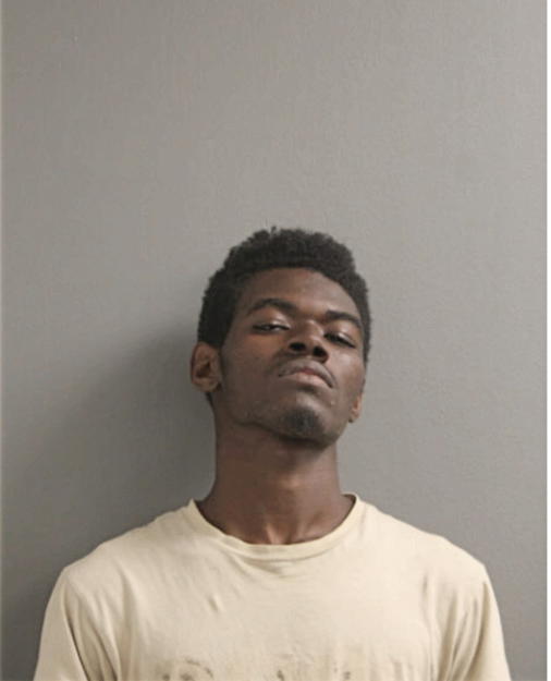 LASHAWN A GRIFFIN, Cook County, Illinois