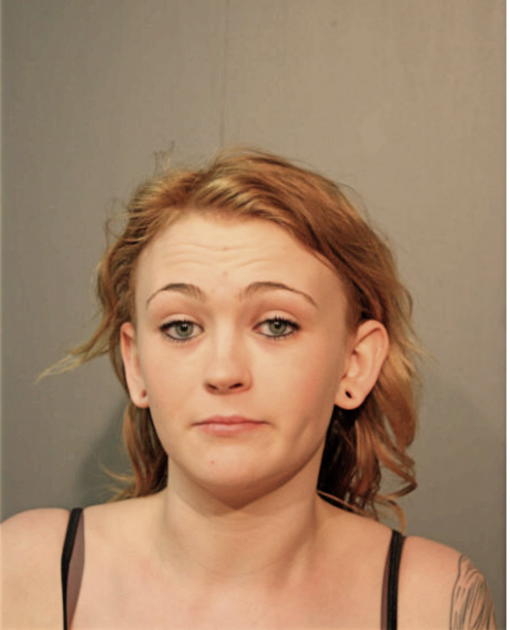 DANIELLE P HONAKER, Cook County, Illinois