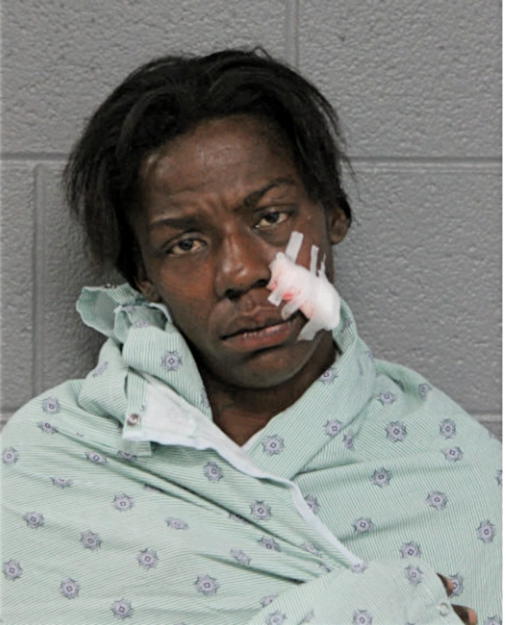 ADRIENNE L JOHNSON, Cook County, Illinois