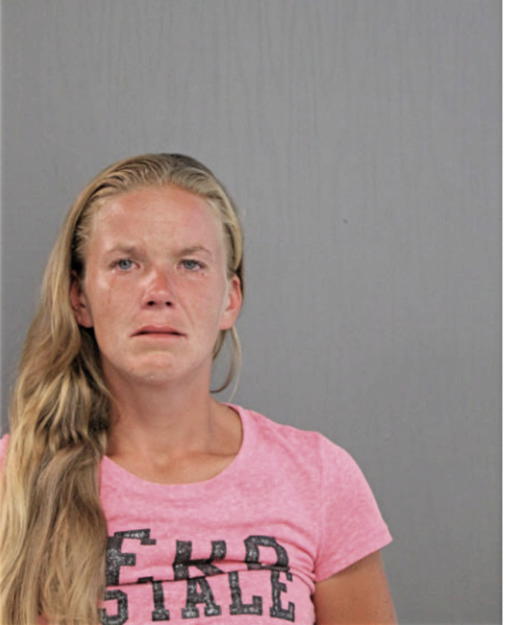 CRYSTAL L JOHNSON, Cook County, Illinois