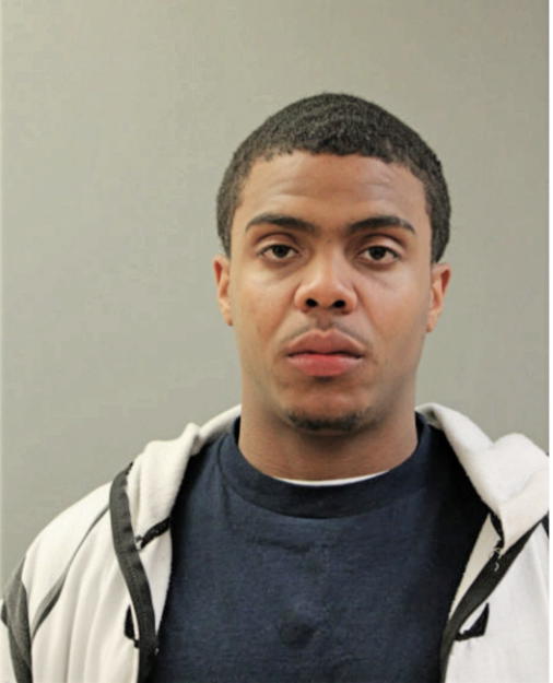 DENNIS M JOHNSON, Cook County, Illinois