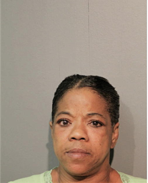 JANICE R JOHNSON, Cook County, Illinois