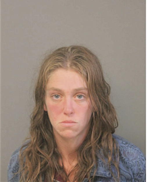 MEGAN M LEWIS, Cook County, Illinois