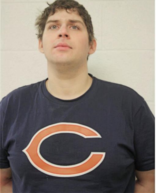 MICHAEL E LIBARIS, Cook County, Illinois
