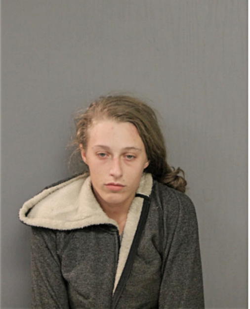 AMANDA A MARTIN, Cook County, Illinois