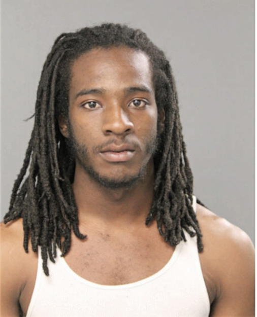 LARRY D NEWMAN, Cook County, Illinois
