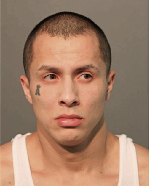 DAVID RAMOS, Cook County, Illinois