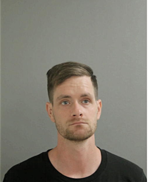 PHILLIP W SEATON, Cook County, Illinois