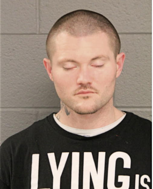 RYAN R STURMER, Cook County, Illinois