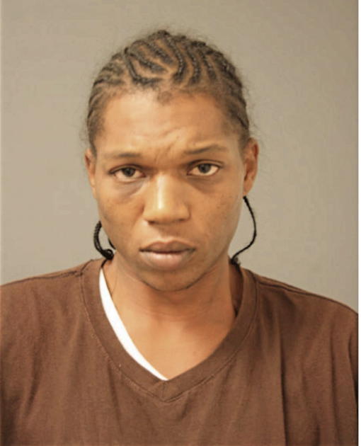 DWAYNE T TRIPLETT, Cook County, Illinois