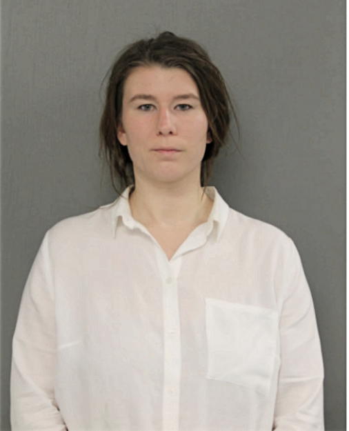 KARA M VAN DAHM, Cook County, Illinois