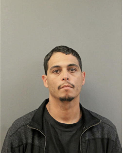 FELIX VEGA, Cook County, Illinois