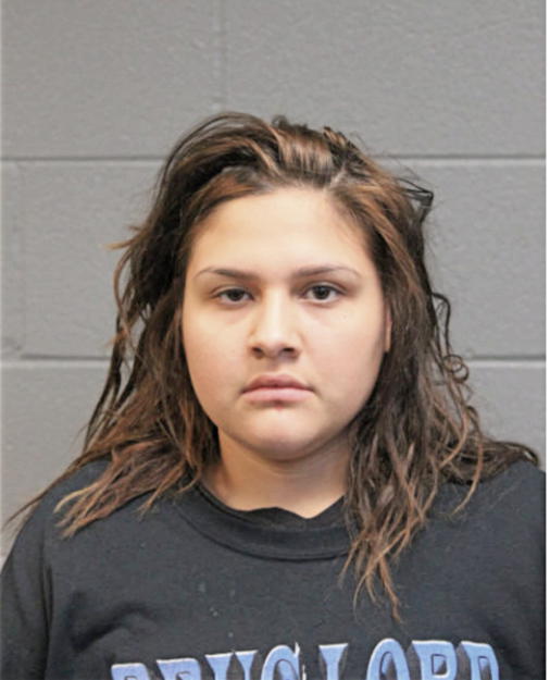 DIANA G VILLA, Cook County, Illinois