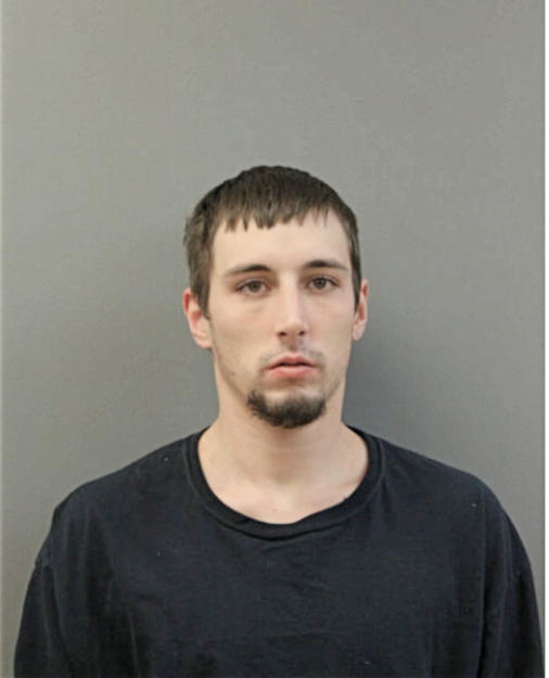 MATTHEW J WALSH, Cook County, Illinois