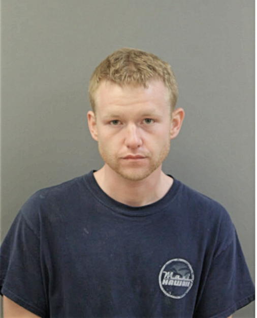 BRADLEY A WILLENBORG, Cook County, Illinois
