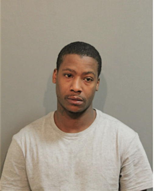 ROBERT D ANDERSON, Cook County, Illinois