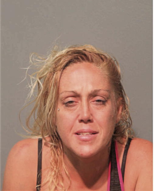 TRACY L ANDERSON, Cook County, Illinois