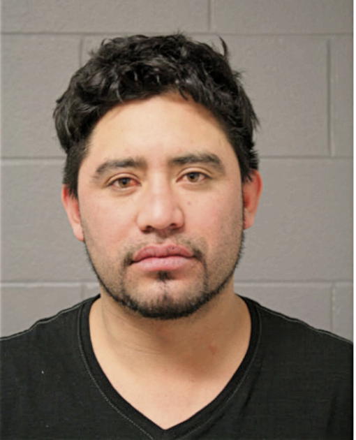 MARCO A BETTELO, Cook County, Illinois