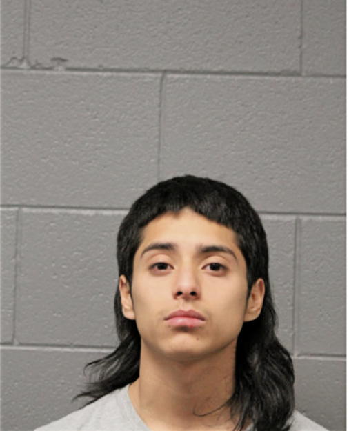 ALEXIS CERON, Cook County, Illinois