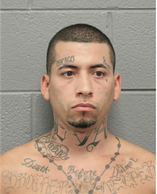 DAVID J CULLINAN, Cook County, Illinois