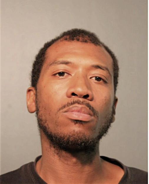 MICHAEL P DAVIS, Cook County, Illinois
