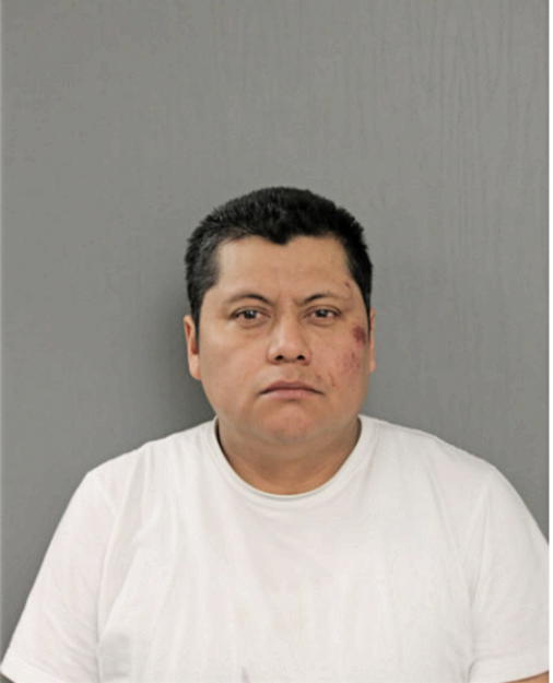 JUAN FLORES-TORRES, Cook County, Illinois