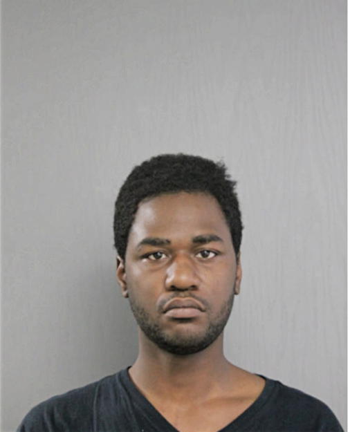 RAYMOND L FREEMAN, Cook County, Illinois