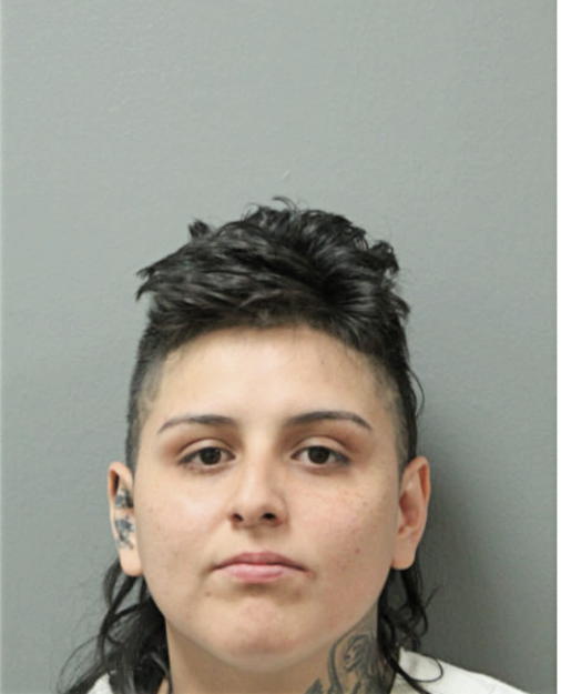 DIANA GARCIA, Cook County, Illinois