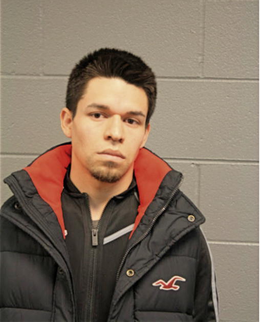 ENRIQUE R GARCIA, Cook County, Illinois