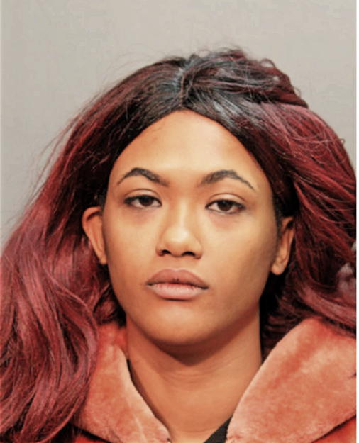 LYNDSEY DANYEL HUDSON, Cook County, Illinois