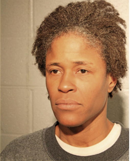 PATRICIA L LANE, Cook County, Illinois