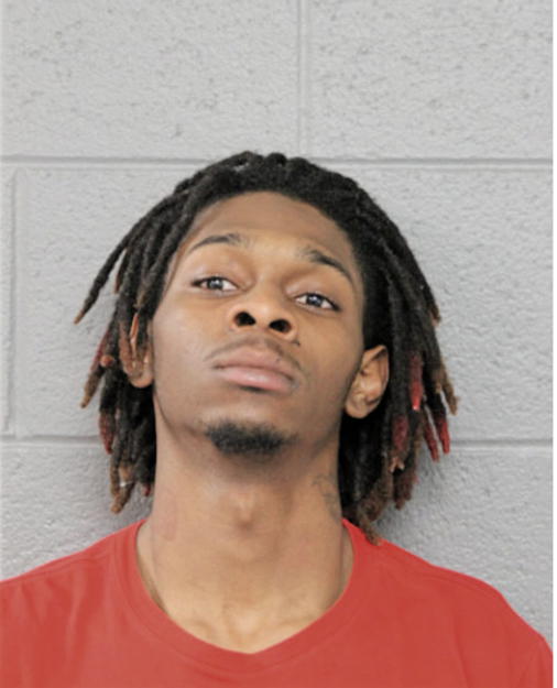 CHRISTOPHER L LEWIS, Cook County, Illinois