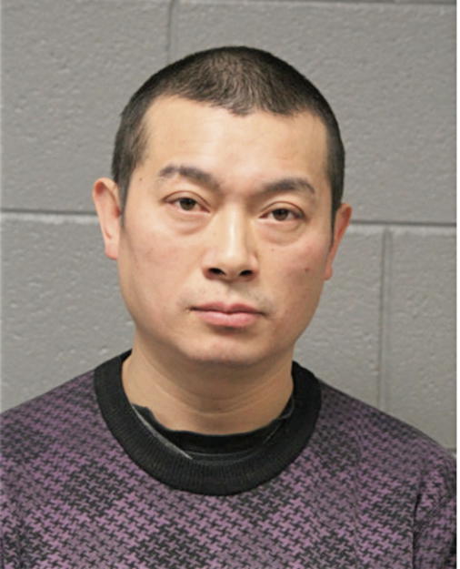 MINGFA LI, Cook County, Illinois
