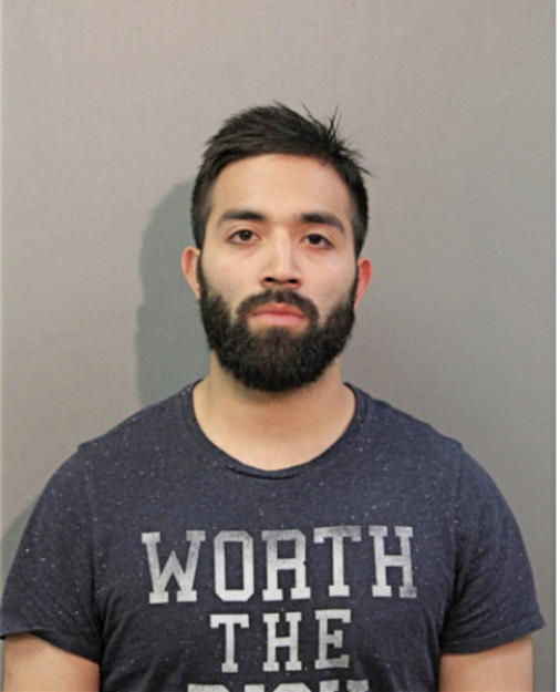 MATTHEW J MATA, Cook County, Illinois