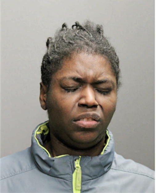 TAMEKA N MCKINNIS, Cook County, Illinois