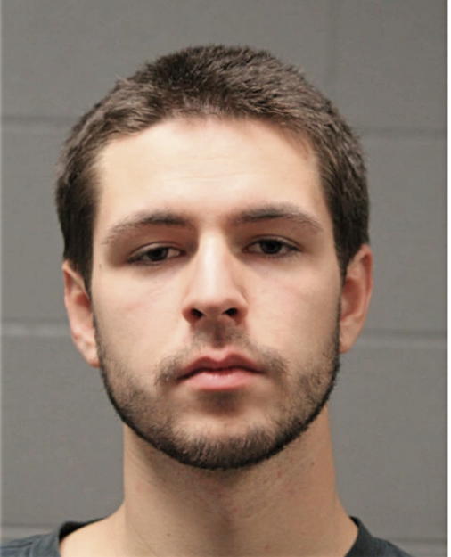 THOMAS C MISTRETTA, Cook County, Illinois
