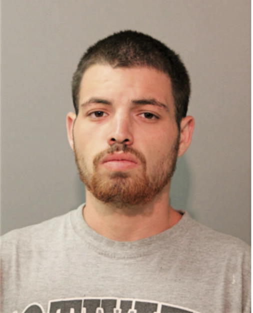 CARLOS J MORALES, Cook County, Illinois