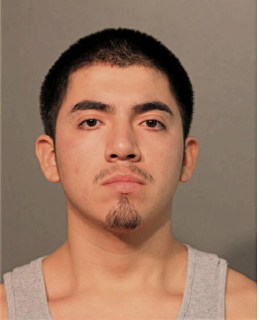 JONATHAN HOLGUIN ORTIZ, Cook County, Illinois