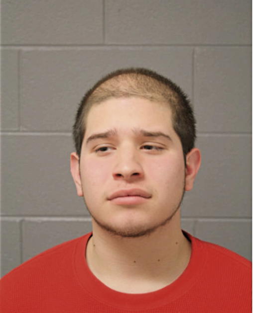 ABRAHAM OSEGUERA, Cook County, Illinois