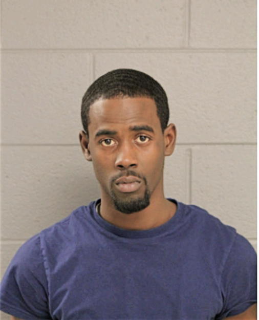 BRANDON D PALMER, Cook County, Illinois